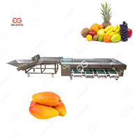 Commercial 500 Kg/H Poire Avocat Nettoyage Épilation Et Classement Abricot Pêche Lavage Ligne De Production De Lavage De Banane