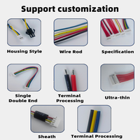 Professional Custom 2.0/2.54/3.96mm Pitch VH XH PH Terminal Connector Wire Harness 2 Pin Red Black Tin Plated Copper Jacket PVC