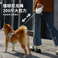 Nouvelle laisse rétractable automatique pour chiens et chats, design réversible, matériau ABS, style simple, pour promenades en extérieur