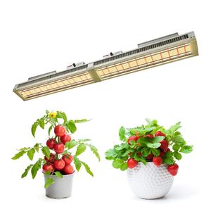 Oferta Especial: Lámparas LED de Cultivo PTU de 650W de Espectro Completo con Baja Emisión de Calor para Plantas Delicadas, Clones y Germinación de Semillas - Product Image 5