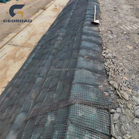 Geomalla Biaxial de Poliéster PET de Alta Resistencia a la Tracción de 20-200KN para Refuerzo de Base de Carreteras, Certificación CE, Garantía de 5 Años