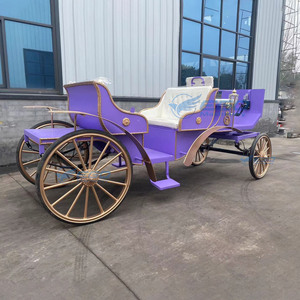Populaire Carrosse de Mariage Victoria Électrique de Luxe Classique en Fer, Type Carrosse à Chevaux, avec Couleur Personnalisable, à Vendre - Product Image 5