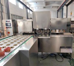 Machine de lavage, pelage, dénoyautage et découpe de fruits, ligne de traitement des pommes (pelage, dénoyautage, découpe) - Product Image 4