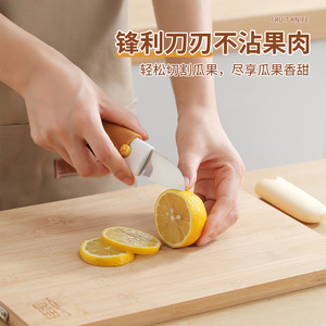 มีดปอกผลไม้ 18 ซม. เครื่องมือปอกแอปเปิ้ลอเนกประสงค์แบบพกพา - Product Image 4