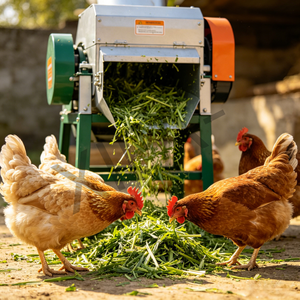 เครื่องสับอาหารสัตว์ที่ดีสุดๆไม่ทั้งก้านปศุสัตว์จะ<span class=keywords><strong>กิน</strong></span>ทุกคำที่<span class=keywords><strong>กัด</strong></span> - Product Image 5