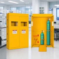 Armoire de stockage de gaz anti-explosion hermétique, entièrement en acier épaissi avec détecteur d'alarme pour laboratoire biologique