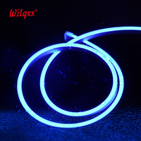 Projet de fontaine de piscine étanche à l'eau LED Neon Flex DMX SPI Adressable WS2811 Smart Pixel RGBIC LED 10*10mm
