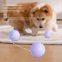 Jouet interactif automatique d'intérieur OEM ODM pour chats et chiens, stimule l'instinct de chasse avec une balle auto-mobile, soulage l'ennui