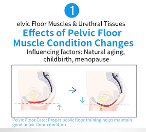 Silla de Terapia Magnética Electromagnética de Alta Intensidad para el Suelo Pélvico, Modo Dual, para Recuperación Postparto y Salón de Belleza - Product Image 2