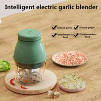 Mini hachoir électrique Portable Rechargeable, outil de cuisine, vente en gros, 45W 100ML 250ML