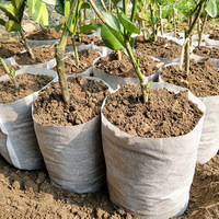 Sac de semis et de culture de semis biodégradable non tissé avec gobelet nutritif pour utilisation à domicile