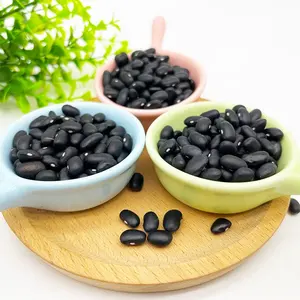 China Best-selling Black Kidney Beans Best Grade Chinese Organic Black Kidney Beans