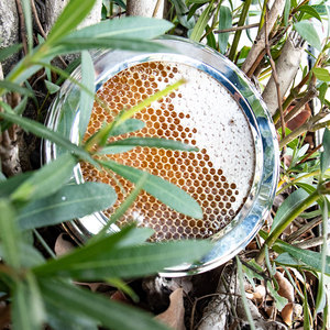 Chất lượng cao 100% tinh khiết sidr mật ong Lược lớp học đầu tiên ong tự nhiên mật ong trong số lượng lớn cho bán buôn - Product Image 2