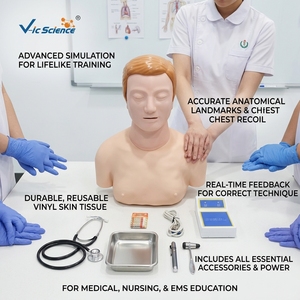 Mannequin <span class=keywords><strong>de</strong></span> formation RCP demi-corps en PVC taille réelle, section transversale intercostale 6e niveau, pour l'enseignement médical CE ISO ROHS CNAS - Product Image 1
