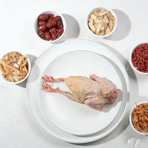 Pigeon entier enrichi en sélénium naturel, viande de volaille très nutritive pour la maison et la restauration - Product Image 5
