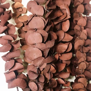 Fleurs en gros <span class=keywords><strong>d</strong></span>'usine Offre Spéciale <span class=keywords><strong>fleur</strong></span> <span class=keywords><strong>d</strong></span>'<span class=keywords><strong>eucalyptus</strong></span> séchée et conservée naturelle pour Arrangement de fleurs à la maison de mariage - Product Image 4