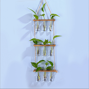 Cadre en bois de Style nordique Ins verrerie murale suspendue Test hydroponique fleur Tube Vase <span class=keywords><strong>pour</strong></span> salle de bain salon Vintage - Product Image 5
