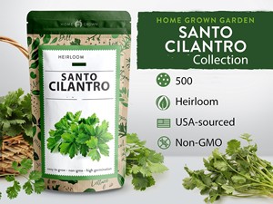 Herbe de coriandre Santo sans OGM cultivée à la maison vari<span class=keywords><strong>été</strong></span> à croissance rapide pour <span class=keywords><strong>jardin</strong></span> pépinière extérieure échantillon gratuit pour l'<span class=keywords><strong>été</strong></span> - Product Image 3