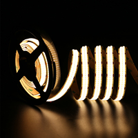 Bande LED COB Monocouche Double Rangée 600 LED/m, Largeur 12mm, 24V, Télécommande IP65, Bobine en Rouleau, Vente en Gros