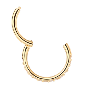 Ebedi Metal gerçek 14K katı altın yan yarım kaplamalı CZ menteşeli Segment Hoop yüzük burun & kıkırdak piercing takı - Product Image 3