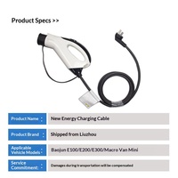 Nouvelle prise de charge pour véhicules électriques Baojun E100/E200/E300 pour modèles Hongguang Mini/GB/Macaron/Bingguo/portables