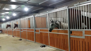 Vente d'équipements pour écuries de chevaux préfabriquées en métal, écuries de chevaux portables de luxe pour l'extérieur avec toit Los Caballos - Product Image 3