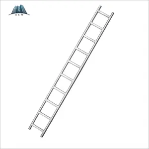 Matériaux de construction de bâtiment en gros Échelle verticale de type cadre Échafaudage Escaliers Support d'échelle pour échafaudage