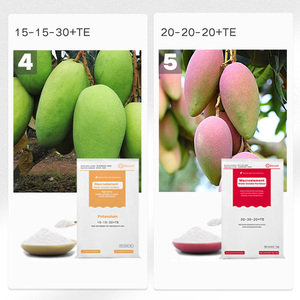 Chương trình phân bón xoài NPK Phân bón hòa tan trong nước Nitơ cao Kali microelement phân bón - Product Image 4