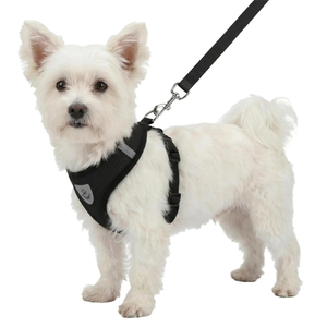 Custom Adjustable Training Soft Breathable Mesh Dog Harness Vest Nylon Traction Outdoor Walking Cat Dog Harness Set - Product Image 5