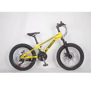 Vélo de montagne VTT 20 pouces à <span class=keywords><strong>vitesse</strong></span> variable pour garçons et filles, fourche en acier, frein à disque pour enfants - Product Image 1
