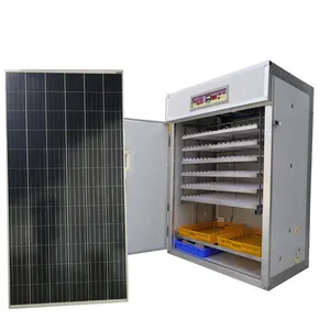 Machine agricole solaire pour œufs Tolcat, incubateur pour l'éclosion des œufs, prix automatique, inde