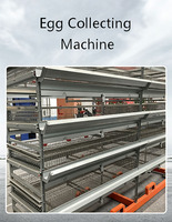 Cage à poulets à étages superposés, équipement d'élevage avicole, collecte automatique des œufs, galvanisation à chaud, pour machine d'élevage de poules pondeuses