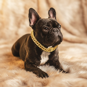 สร้อยคอสัตว์เลี้ยงแบบโซ่คิวบา ดีไซน์หรูหรา ประดับคริสตัลเพชร วัสดุโลหะผสมสังกะสี แข็งแรง ทนทาน แฟชั่นใหม่ล่าสุด - Product Image 3