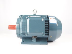 Serie YE2 2.2KW/3HP Motor eléctrico industrial asíncrono trifásico de CA 380V - Product Image 2