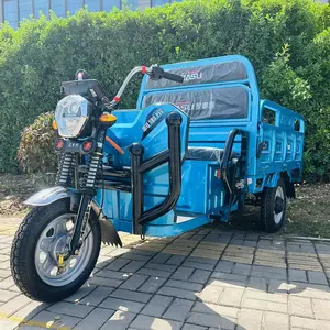 Freight Transport Farm Use Electric Cargo Tricycle Trucking 3 Wheel Motorcycle Customized GRS Stainless Open 1 Seat 18 Tubes