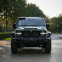 Tank 300 Wind Forest Iron Knight Changcheng Tank300 2.0T Kendaraan Off-Road Paling Canggih yang Didesain untuk Medan Off-Road