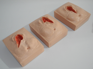 Акушерство и гинекология медицинская научная модель симулятор шва вульвы - Product Image 5