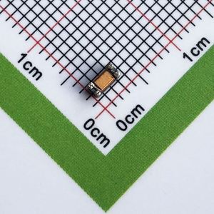 Manufacturer Direct DCM321620F2SF-600T02 1206 3216 Inductors Wire Wound Inductors 60uH 20% 200mA 1.7ohm - Product Image 1