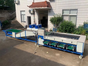 Chế Biến Trái Cây Nhỏ Ngày <span class=keywords><strong>Palm</strong></span> Apple Olive Phân Loại Phân Loại Phân Loại Kích thước Máy - Product Image 4