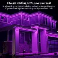 Lumières LED RVB de haute qualité gouly 12v 24v Pixel Haute puissance Programmation couleur complète Lumières pixel RVB