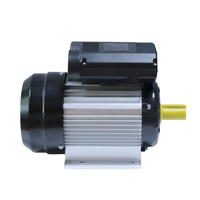 Moteur asynchrone monophasé fiable à faibles vibrations YL-100L1-4 2,2 kW 3 CV 1400 tr/min avec bobinage 100 % cuivre et boîtier en aluminium