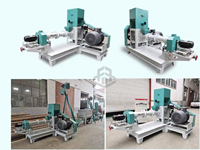 Machine automatique en acier inoxydable pour la fabrication de céréales, de baguelettes d'oignon et d'extrudeuse de snacks de maïs soufflé creux