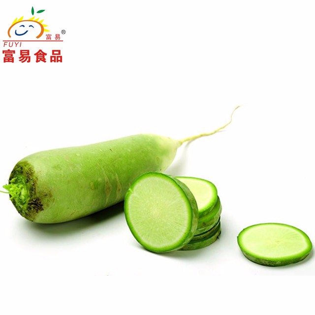 Gran tamaño verde rábano/vegetales china rábano/rábano blanco