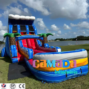 Castillo Inflable de PVC con Tobogán de Agua, Piscina, Color y Tamaño Personalizables, Precio al por Mayor, para Uso en Casa, Escuela y Exteriores - Product Image 2
