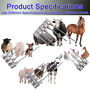 Jeringa de Inyección Veterinaria de Acero Inoxidable para Animales, Certificación CE ISO, Instrumento Veterinario Duradero - Product Image 2