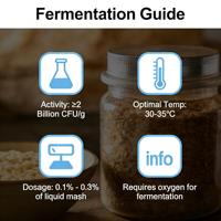 Cultivo de Vinagre de Fermentación Rápida y Alta Actividad |   Aumenta el Rendimiento y la Tasa de Conversión del Ácido Acético, Polvo de 210 Mil Millones de UFC/g