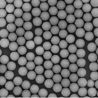 Microsphères magnétiques tolylées pour la recherche en immunologie, pour l'immobilisation des anticorps et les applications de détection de biomarqueurs
