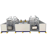 Fabricant d'équipements agricoles pour le bétail, enclos à porcs, cages de mise bas pour porcs