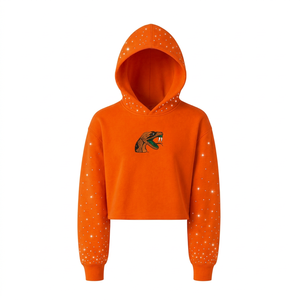 Sudadera con Capucha Corta para Hombre, Personalizada con Pedrería Bordada de la Universidad FAMU Florida A&M, 100% Algodón, Formal de Invierno - Product Image 1