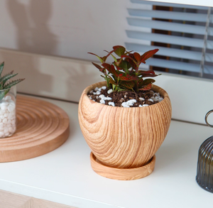 Kunst töpfe Nordic Modern Style Macaron Bunte große Keramik Porzellan glasierte Blumentöpfe mit Drainage Hausgarten - Product Image 3